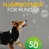 Hjärngympa för hundar : 50 utmanande lekar för en smartare hund