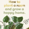 How to plant a room