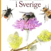 Humlor i Sverige : 40 arter att älska och förundras över