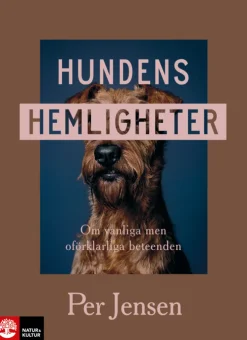 Hundens hemligheter : om vanliga men oförklarliga beteenden