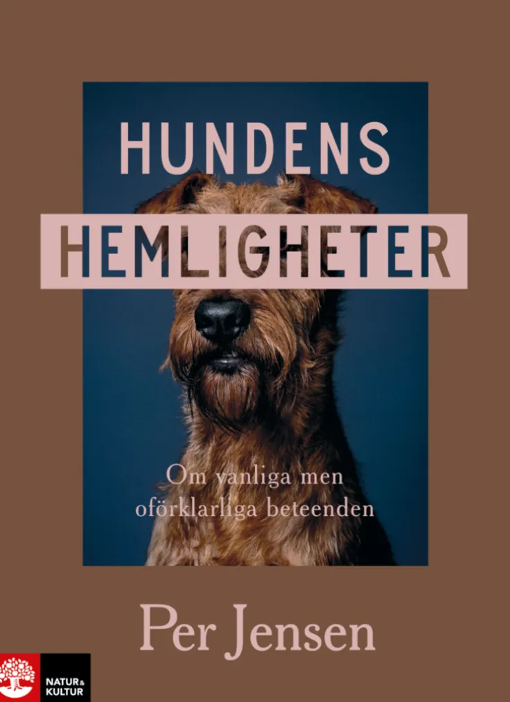 Hundens hemligheter : om vanliga men oförklarliga beteenden