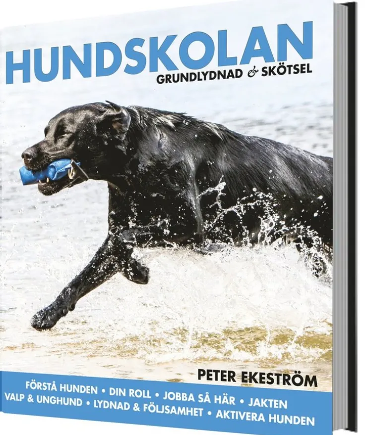 Hundskolan : grundlydnad & skötsel