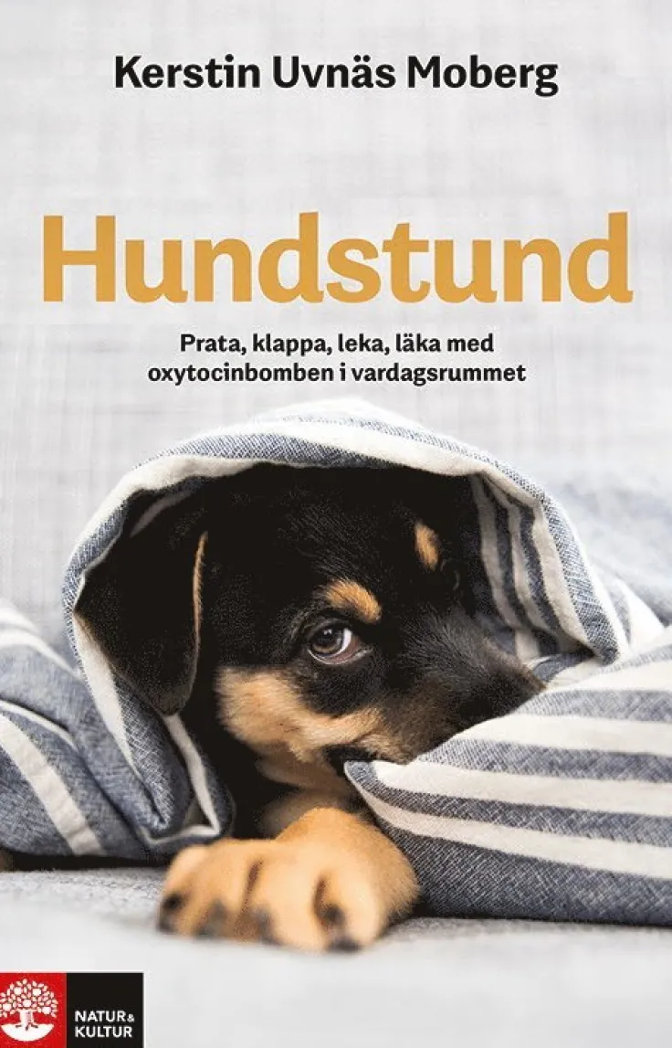 Hundstund : prata, klappa, leka, läka med oxytocinbomben i vardagsrummet