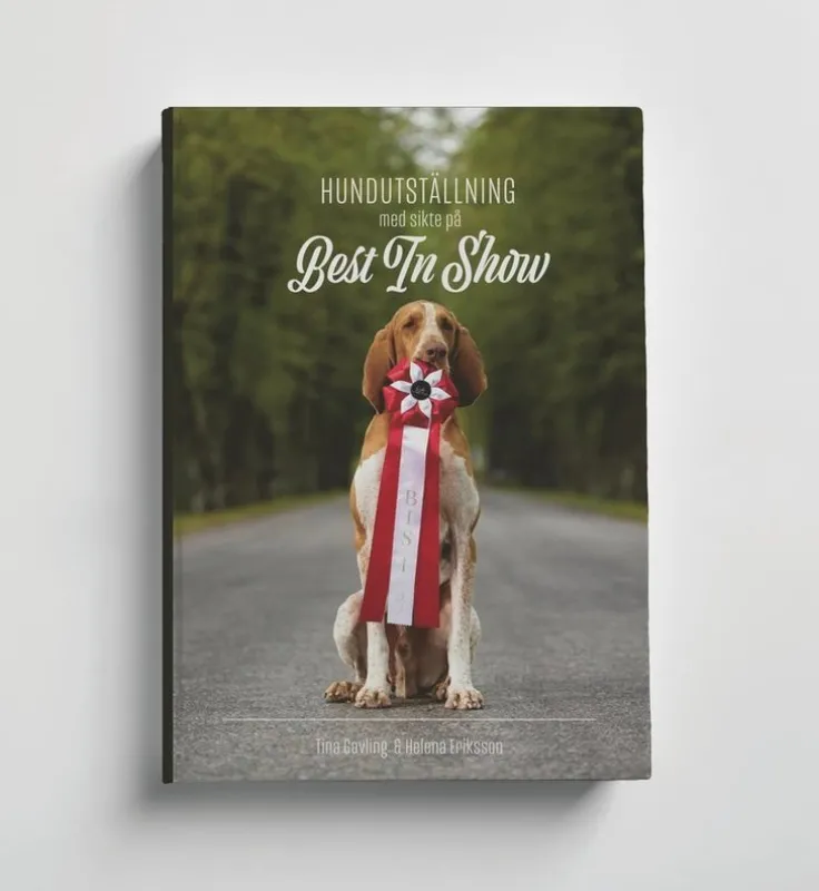 Hundutställning med sikte på Best in Show