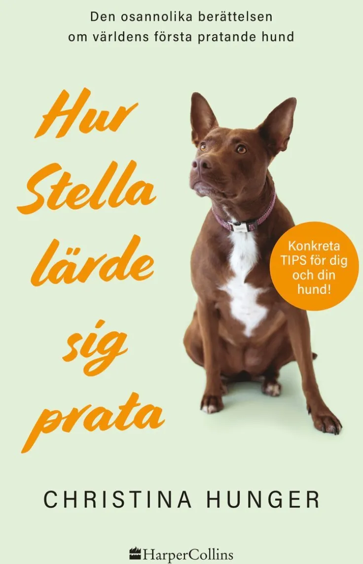 Hur Stella lärde sig prata