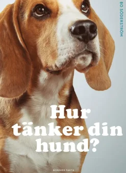 Hur tänker din hund?