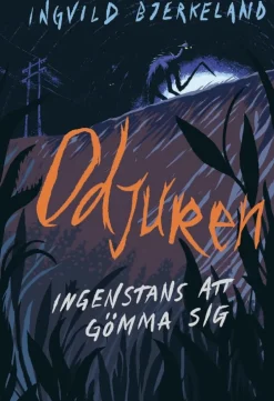 Ingenstans att gömma sig