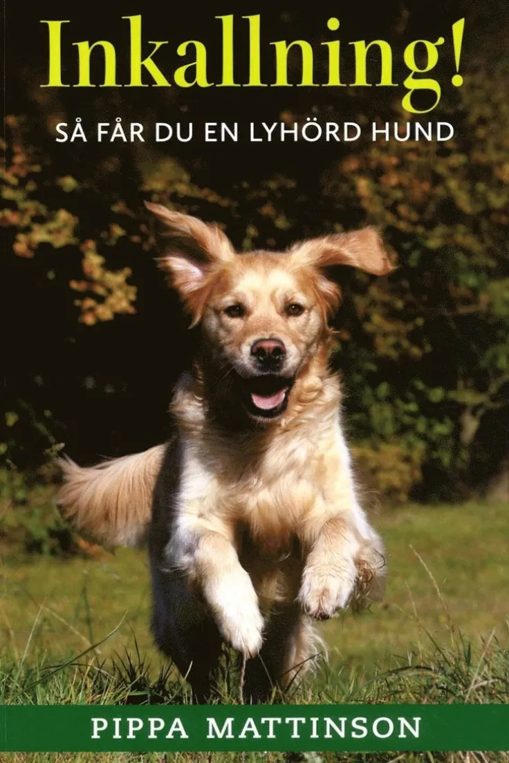 Inkallning! : så får du en lyhörd hund