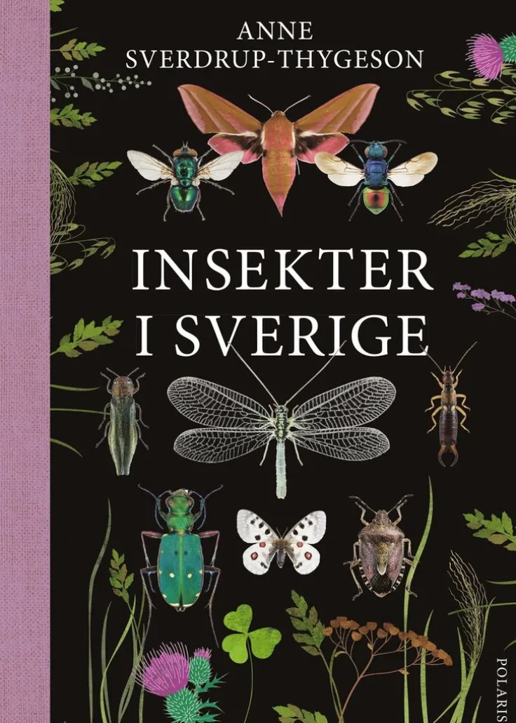 Insekter i Sverige