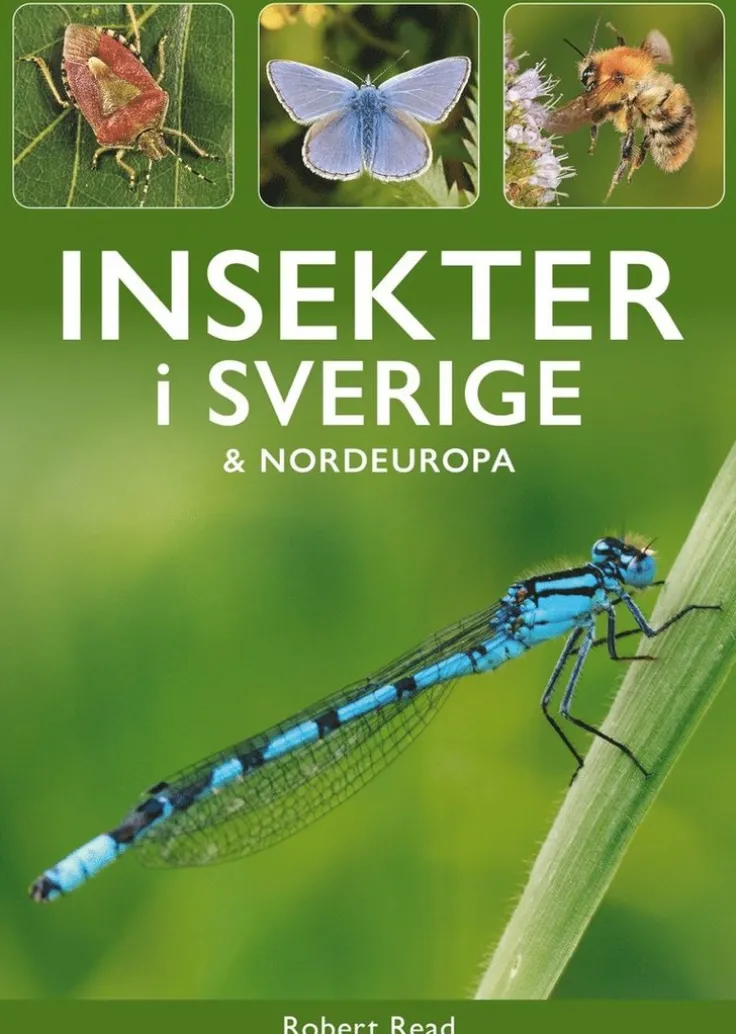 Insekter i Sverige och Nordeuropa