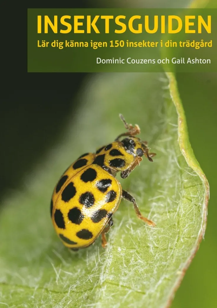 Insektsguiden : Lär dig känna igen 150 insekter i din trädgård