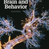 Introduction to Brain and Behavior