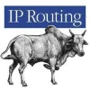IP Routing