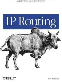 IP Routing