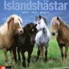 Islandshästar : skötsel - hälsa - gångarter