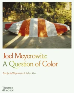 Joel Meyerowitz: A Question of Color