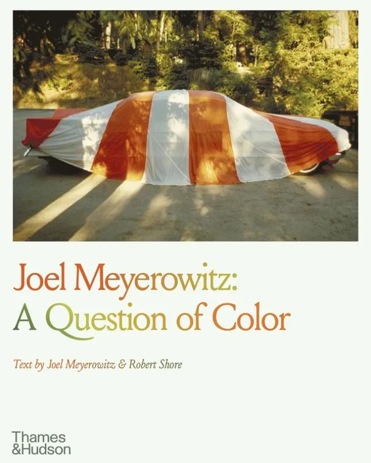 Joel Meyerowitz: A Question of Color