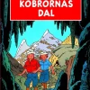 Johan, Lotta och Jockos äventyr 5 : Kobrornas dal