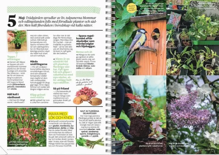 Kalender 2026 Allt om Trädgård