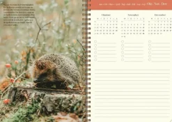 Kalender 2026 Lantdrömmar