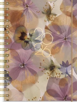 Kalender 2026 Senator A6 Story pensé