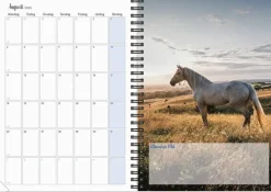 Kalender 2025 Stallkalendern