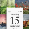 Kalender 2025 Väggplån med dagblock Årstiderna