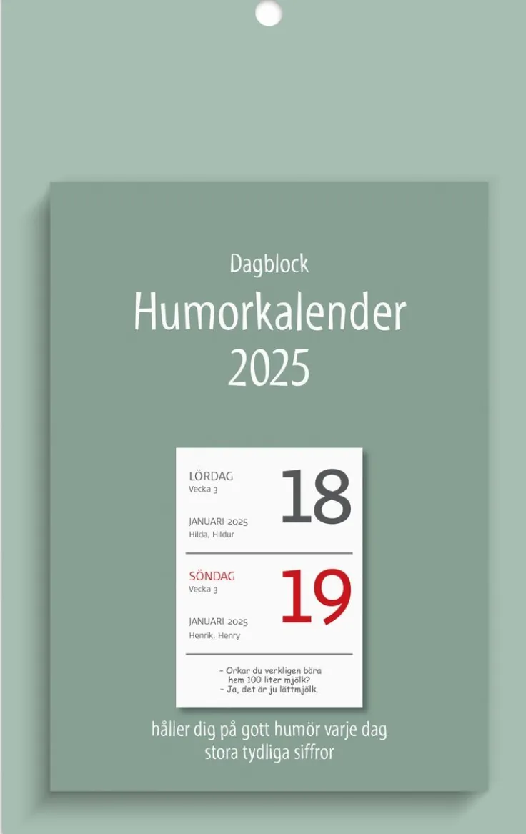 Kalender 2025 Väggplån med dagblock Humor