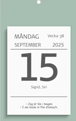 Kalender 2025 Väggplån med dagblock Humor