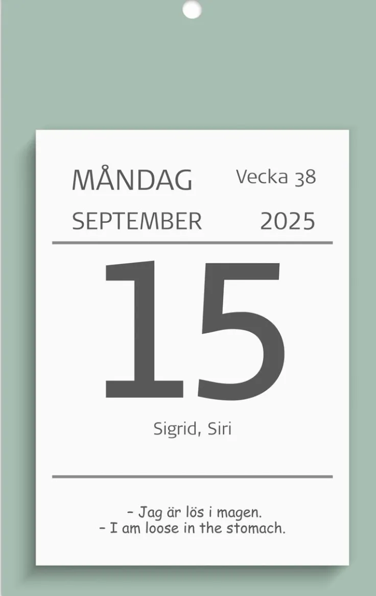 Kalender 2025 Väggplån med dagblock Humor