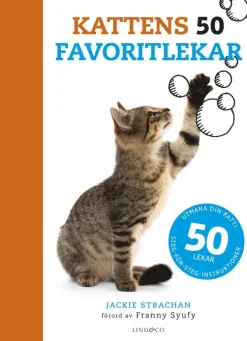 Kattens 50 favoritlekar