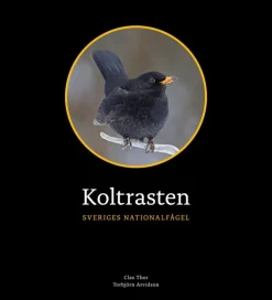 Koltrasten : Sveriges Nationalfågel