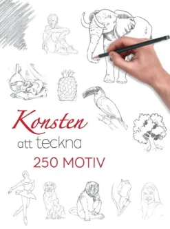 Konsten att teckna : 250 motiv