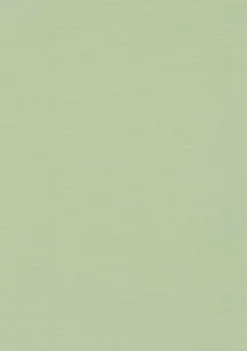 Kort A6 enkla 10-pack lime