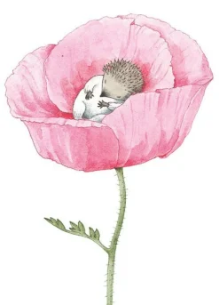 Kort Lilla Kotten i ros