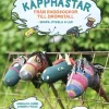 Käpphästar : Från raggsockor till drömstall - skapa, pyssla & lek!