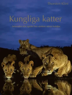 Kungliga katter : beteenden och signaler hos världens största kattdjur