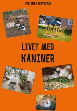 Livet med kaniner