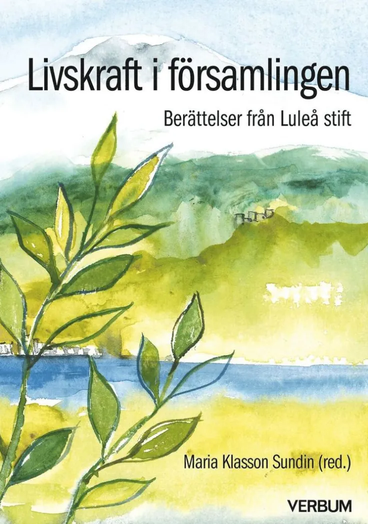 Livskraft i församlingen : berättelser från Luleå stift