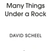 Many Things Under a Rock