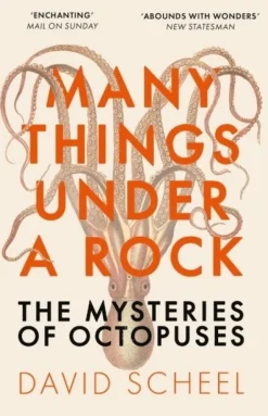 Many Things Under a Rock