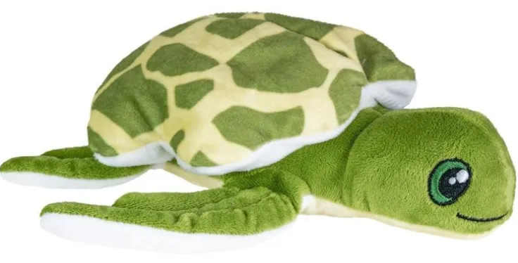 Mjukdjur sköldpadda Konna