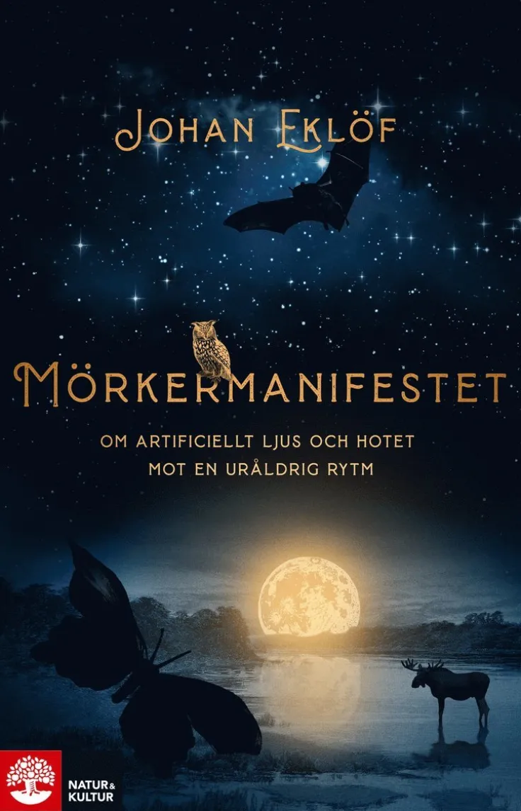 Mörkermanifestet : om artificiellt ljus och hotet mot en ursprunglig rytm