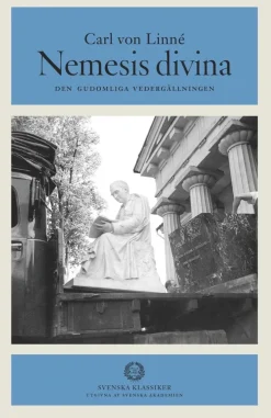 Nemesis divina : den gudomliga vedergällningen