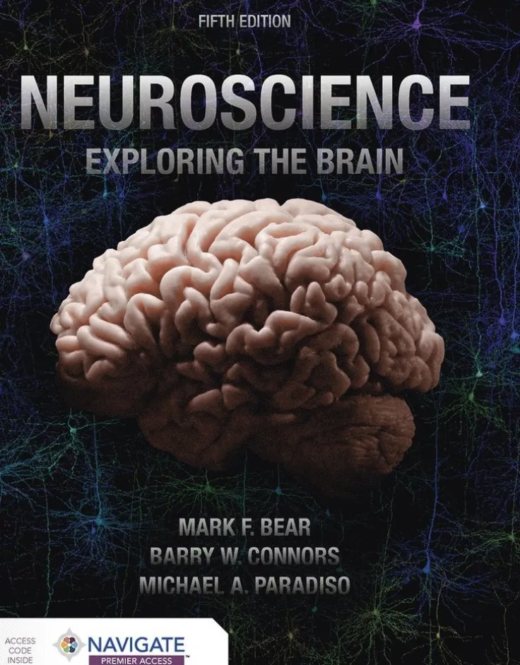 Neuroscience: Exploring the Brain
