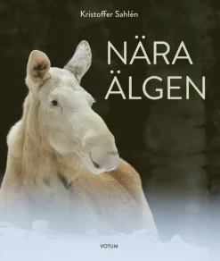 Nära älgen