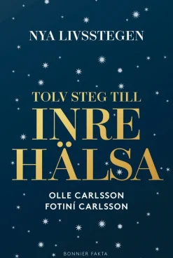 Nya livsstegen : tolv steg till inre hälsa