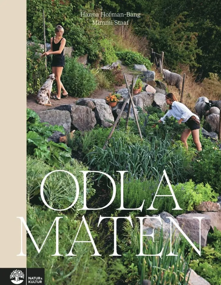 Odla maten