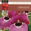 Orkidéer