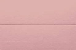 Placeringskort dubbla 10-pack dimrosa